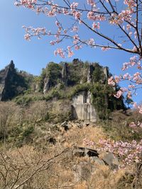 CAMPiii（キャンピー） なおちん