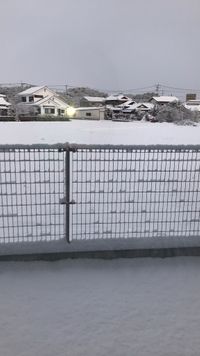 CAMPiii（キャンピー） rei