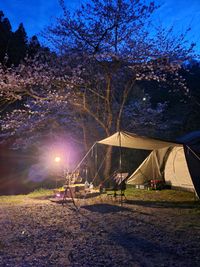 CAMPiii（キャンピー） しのすけ