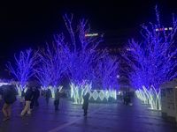 CAMPiii（キャンピー） まめ