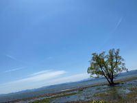 CAMPiii（キャンピー）  taniuti takayuki