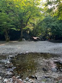 CAMPiii（キャンピー） Tomo