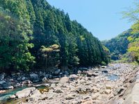 CAMPiii（キャンピー） こまち