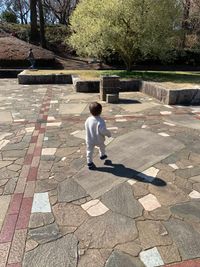 CAMPiii（キャンピー） のりりのすけ