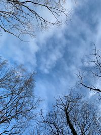 CAMPiii（キャンピー） すこってぃ