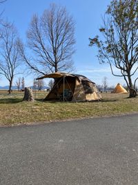 CAMPiii（キャンピー） しげーる
