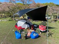 CAMPiii（キャンピー） チームはりー