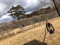 CAMPiii（キャンピー） くま