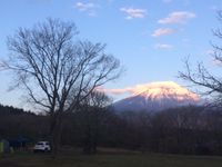 CAMPiii（キャンピー） あこ