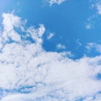 CAMPiii（キャンピー） ういか