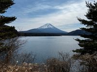 CAMPiii（キャンピー） はるき