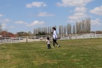 CAMPiii（キャンピー） ぴょん。