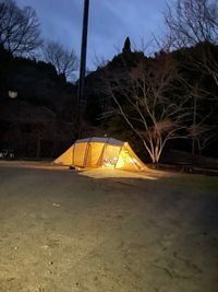 CAMPiii（キャンピー） D's