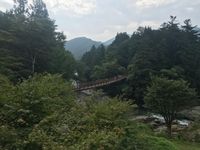 CAMPiii（キャンピー） 葛飾の岩ちゃん