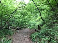 CAMPiii（キャンピー） ひなな