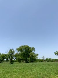 CAMPiii（キャンピー） taka