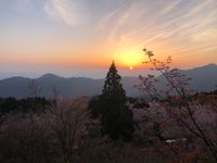 CAMPiii（キャンピー） さんりんしゃ