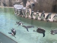 CAMPiii（キャンピー） フリート