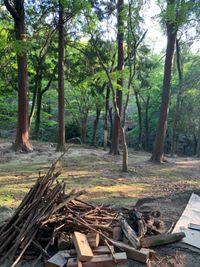 CAMPiii（キャンピー） minami