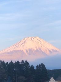 CAMPiii（キャンピー） まさキャン