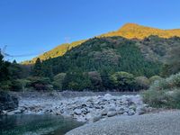 CAMPiii（キャンピー） タミー