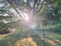 CAMPiii（キャンピー） きゃど