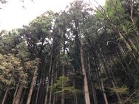 CAMPiii（キャンピー） keeeta13