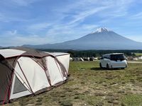 CAMPiii（キャンピー）  もりのくまさん