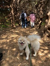CAMPiii（キャンピー） 實川
