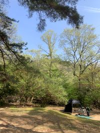 CAMPiii（キャンピー） 悠綺パパ