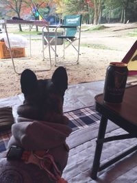 CAMPiii（キャンピー） 福まゆ
