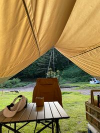 CAMPiii（キャンピー） 池見草たま