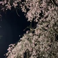 CAMPiii（キャンピー） Naomi