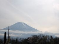 CAMPiii（キャンピー） のり