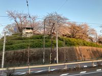 CAMPiii（キャンピー） ISY