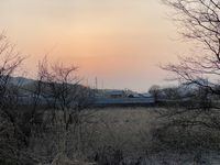 CAMPiii（キャンピー） ひろ