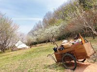 CAMPiii（キャンピー） そうすけ