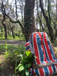 CAMPiii（キャンピー） _riverside_camp_