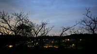 CAMPiii（キャンピー） 右京