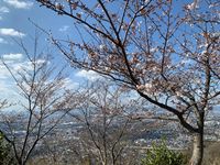CAMPiii（キャンピー） かける