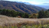 CAMPiii（キャンピー） みー