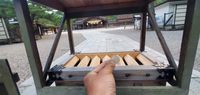 CAMPiii（キャンピー） 藁コアラ