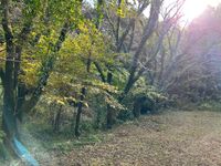 CAMPiii（キャンピー） いけや
