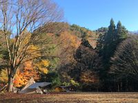 CAMPiii（キャンピー） 山猫物語