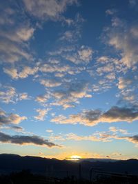 CAMPiii(キャンピー) ヤス