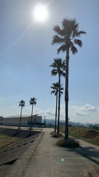 CAMPiii（キャンピー） ミン