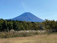 CAMPiii（キャンピー） まもる