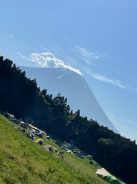 CAMPiii（キャンピー） まさまさ