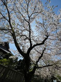CAMPiii（キャンピー） ゆう