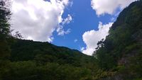 CAMPiii（キャンピー） 八房